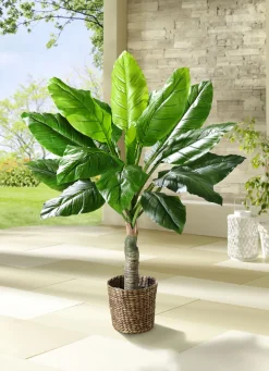 Dekoration>Bananenblatt-Palme GRÜN