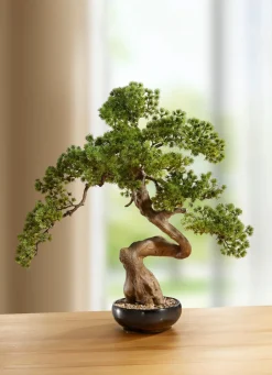 Dekoration>Bonsai in Keramikschale GRÜN