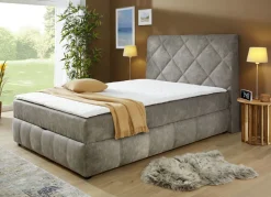 Möbel><noscript><img width=