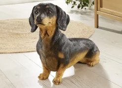 Dekoration>Dackel aus hochwertigem Polyresin SCHWARZ-BRAUN