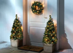 Außendekorationen>Die perfekte Dekorationsidee: LED-Deko-Set, 3-teilig GRÜN