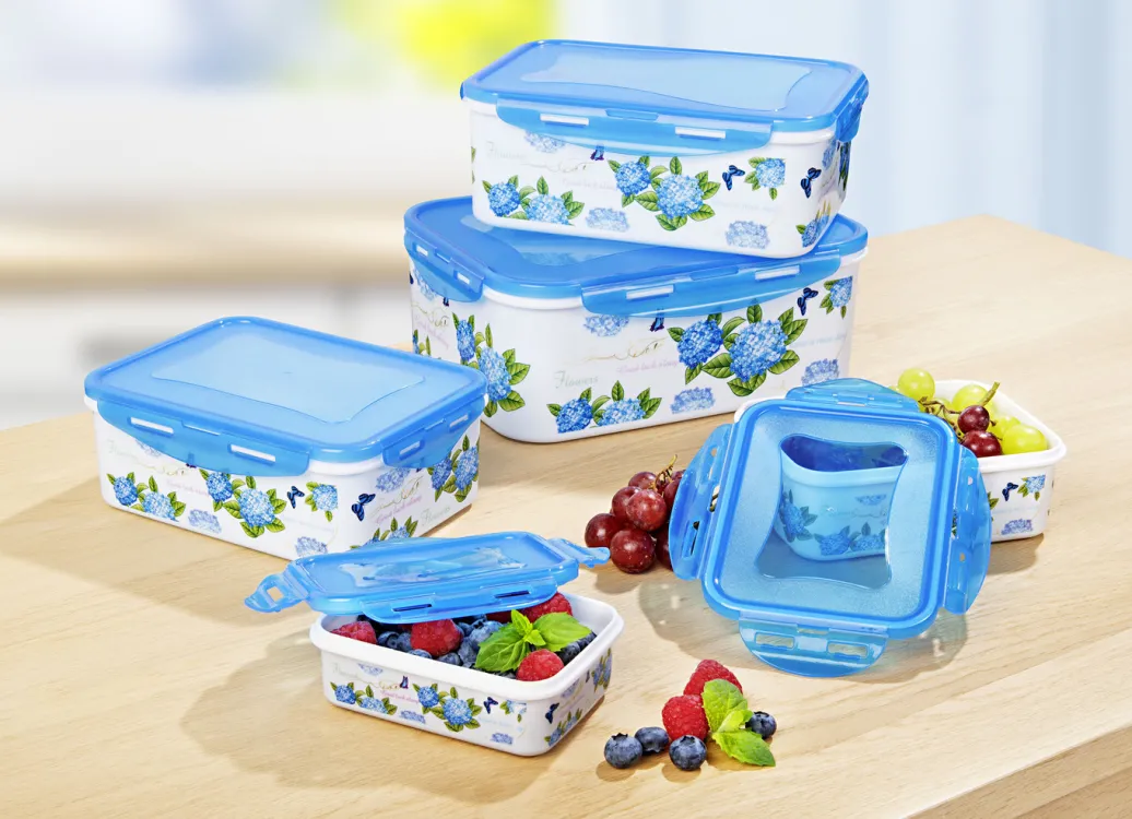 Schüsseln & Behälter|Haushaltshelfer>Dosen-Set eckig, 10-teilig mit schönem Hortensien-Dekor