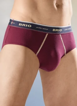 Wäsche|Herrenwäsche>Dreierpack Slips mit Elastikbund 2X BORDEAUX, 1X NAVY