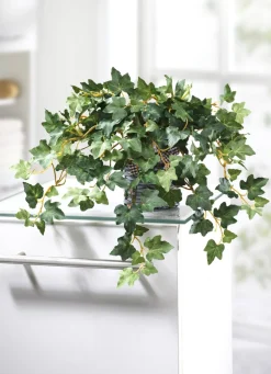 Dekoration>Efeu im Rattantopf GRÜN