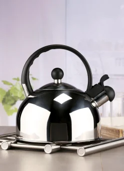 Haushaltshelfer>Flötenkessel aus rostfreiem Edelstahl SILBER