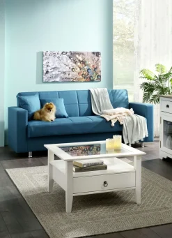 Möbel>Klick-Klack-Sofa mit Dekokissen