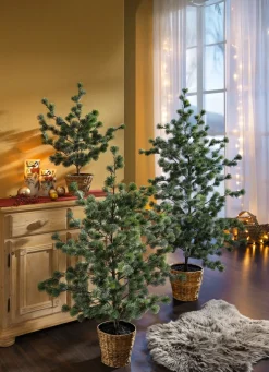 Gestecke & Kränze|Dekoration>Lärche im Topf GRÜN