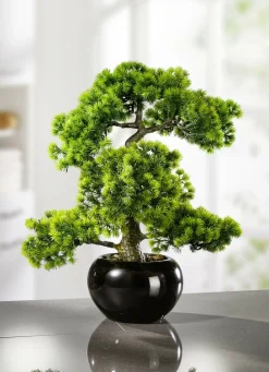 Dekoration>Lärchen-Bonsai in schwarzem Keramiktopf GRÜN