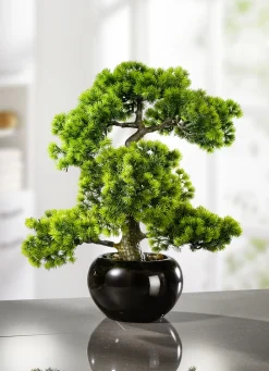 Dekoration>Lärchen-Bonsai in schwarzem Keramiktopf GRÜN
