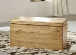Möbel>Massivholz Truhe mit gerundeten Ecken und Kanten