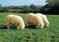 Heimtextilien>Merino-Lammfell-Sitzauflage in Tierform