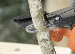 Gartenpflege><noscript><img width=