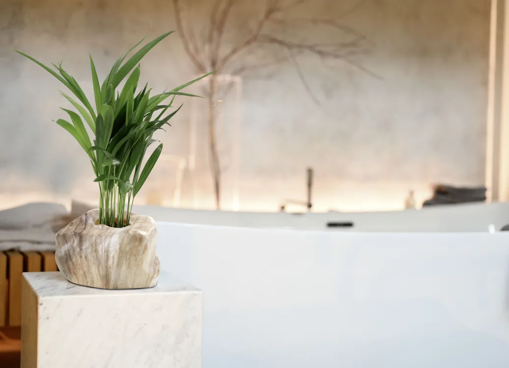 Dekoration>Pflanzenübertopf von Botanyia in edler Naturstein-Optik