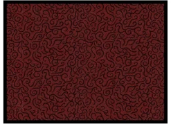 Heimtextilien>Praktische Schmutzfangmatten für innen und außen