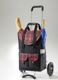 ANDERSEN Mobilität>Profi-Einkaufsroller mit extragroßen Rädern SCHWARZ