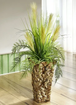 Dekoration>Riedgras im Topf GRÜN