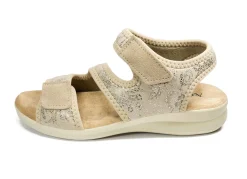 AEROSOFT Schuhe & Einlagen|Schuhe><noscript><img width=