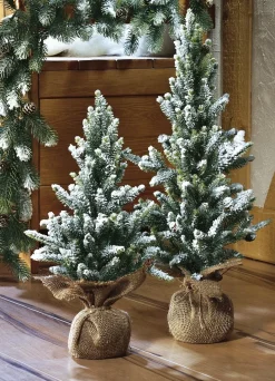 Gestecke & Kränze>Tannenbäumchen im Jutesäckchen GRÜN-WEISS