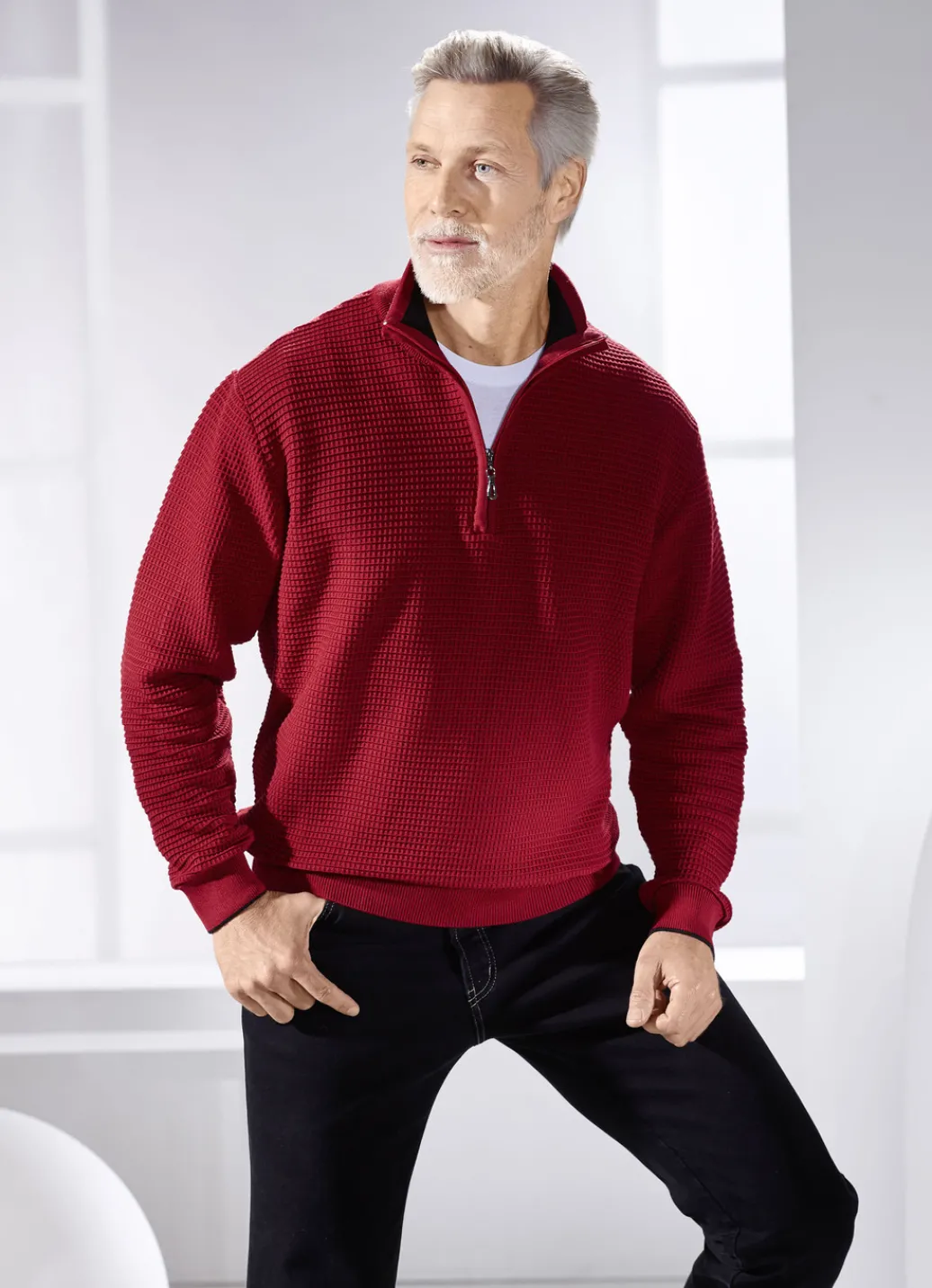 Pullover & Strickmode>Troyer mit Stehkragen in 2 Farben