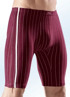 Wäsche|Herrenwäsche></noscript>Viererpack Longpants, gestreift 1X MARINE, 1X SCHWARZ, 1X JEANSBLAU, 1X BORDEAUX