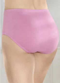 Wäsche|Damenwäsche>Viererpack Slips mit Gummizug im Bund 2X ALTROSA, 2X BEERE