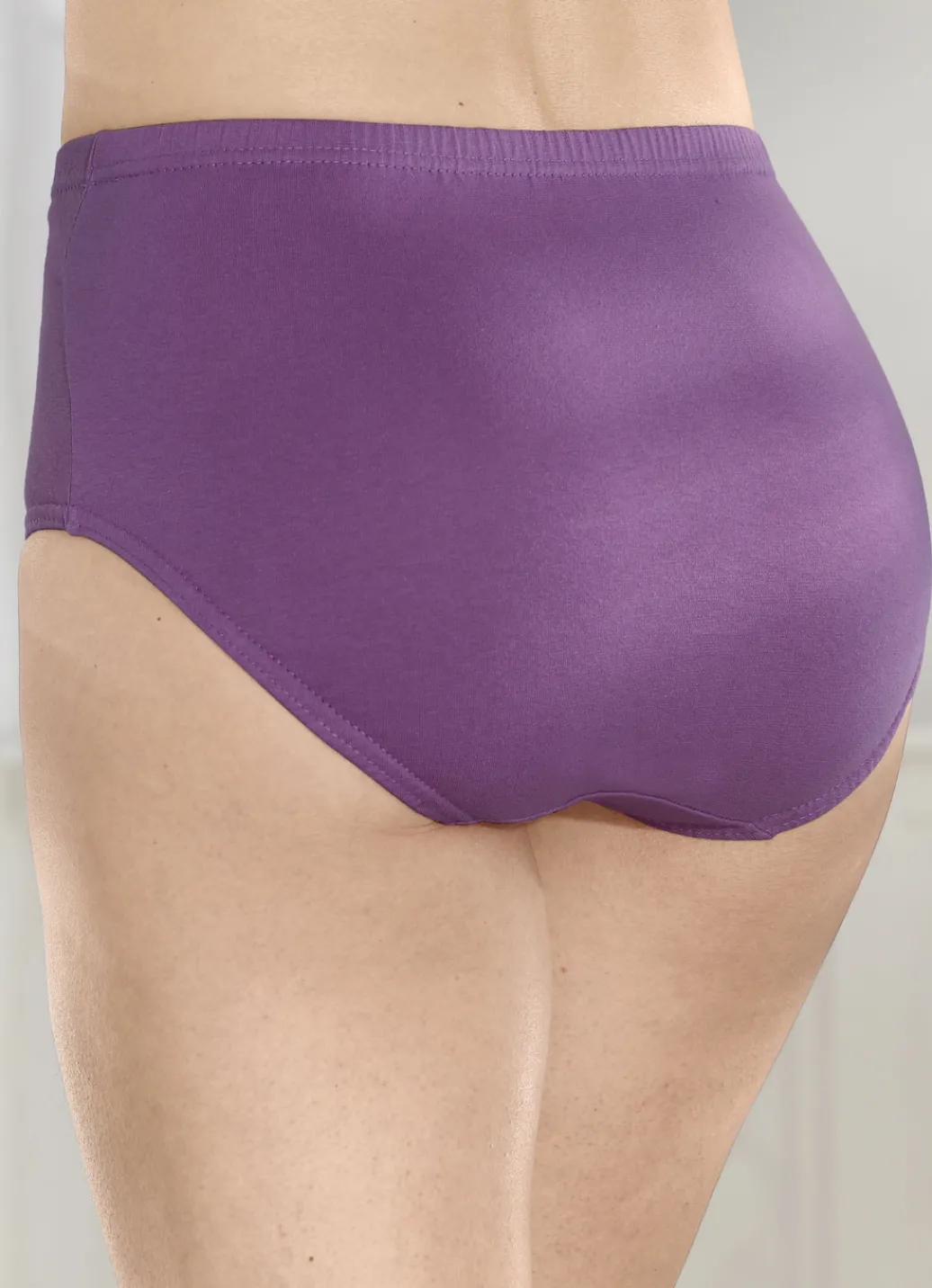 Wäsche|Damenwäsche>Viererpack Slips mit Gummizug im Bund 2X ALTROSA, 2X BEERE