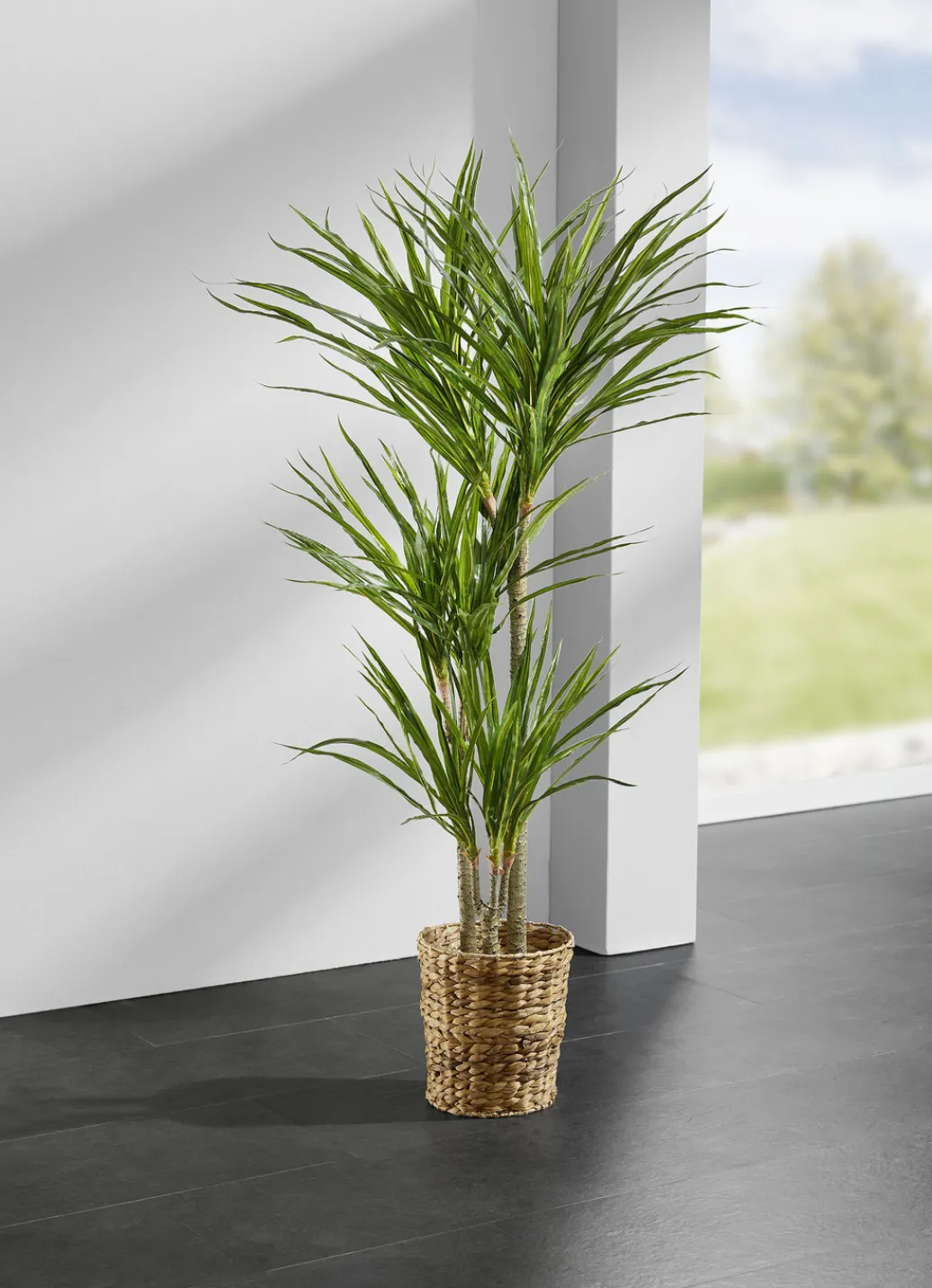 Dekoration>Yucca-Palme im Topf GRÜN